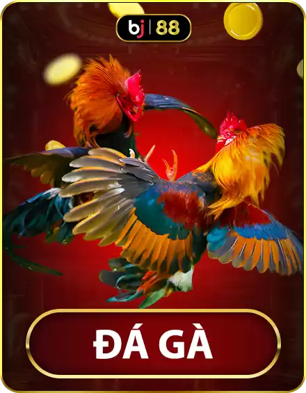 Chơi đá gà online ở bj38 có bị lừa đảo không? Sự thật được tiết lộ!